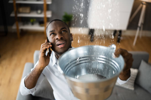 Best Flood damage cleanup  in Southgate, FL
