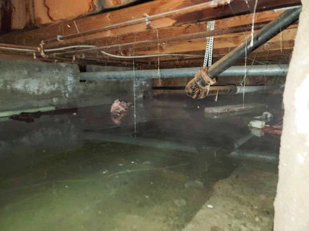 Best Water damage restoration experts  in Southgate, FL
