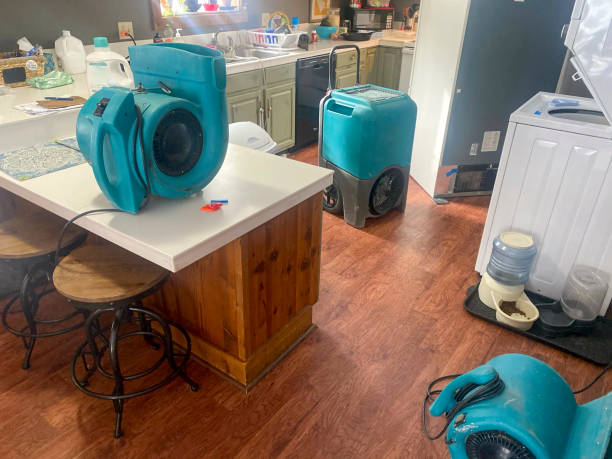 Best Ceiling water damage repair  in Southgate, FL