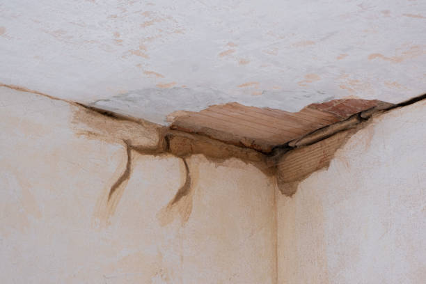 Best Flood restoration services  in Southgate, FL