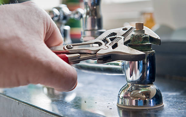 Best Flood damage cleanup  in Southgate, FL