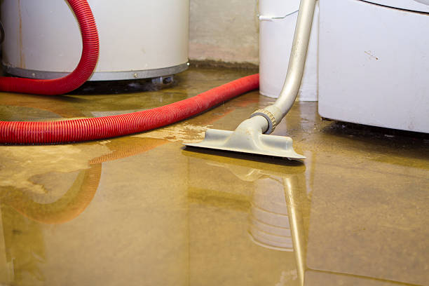 Best Water damage contractors near me  in Southgate, FL