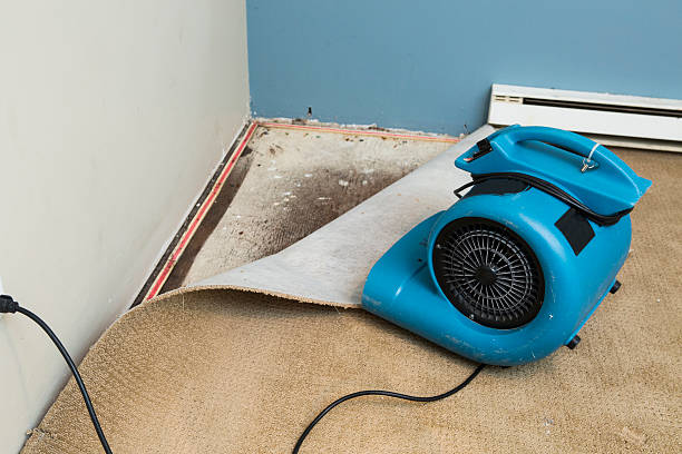 Best 24-hour water damage restoration  in Southgate, FL